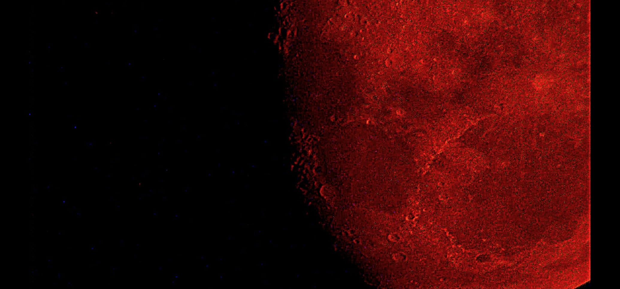 Celestron 114LCM Computerized Reflector Telescope for Beginners - Finds Thousands of Sky Objects, Fully Coated Glass Optics, Bright Views of Planets customer photo 2