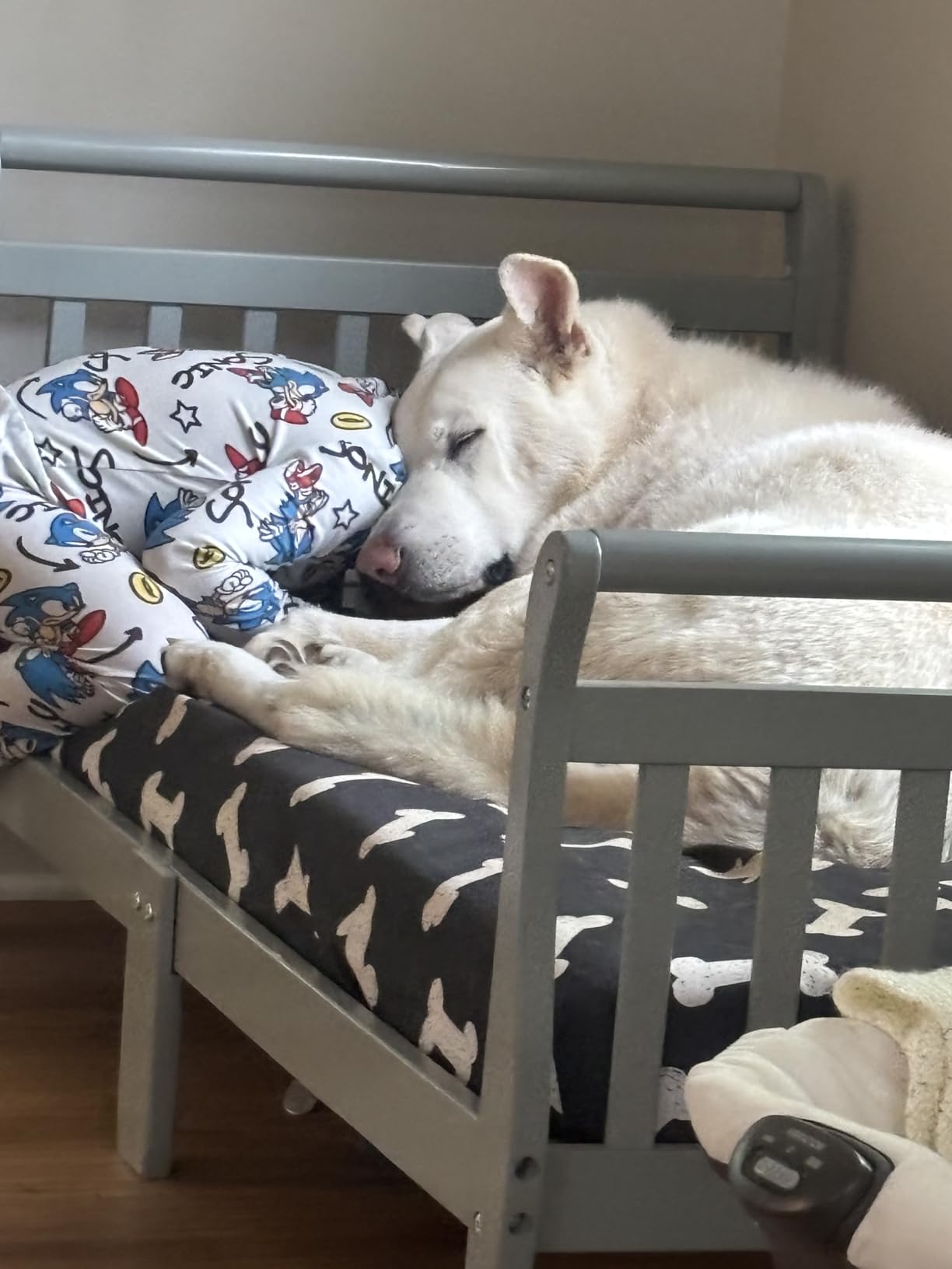 Dream On Me Classic Sleigh Toddler Bed in Cool Grey - Baby Safety Alliance Certified, Low-to-Floor Design, Non-Toxic Finish, Wooden Safety Rails customer photo 1
