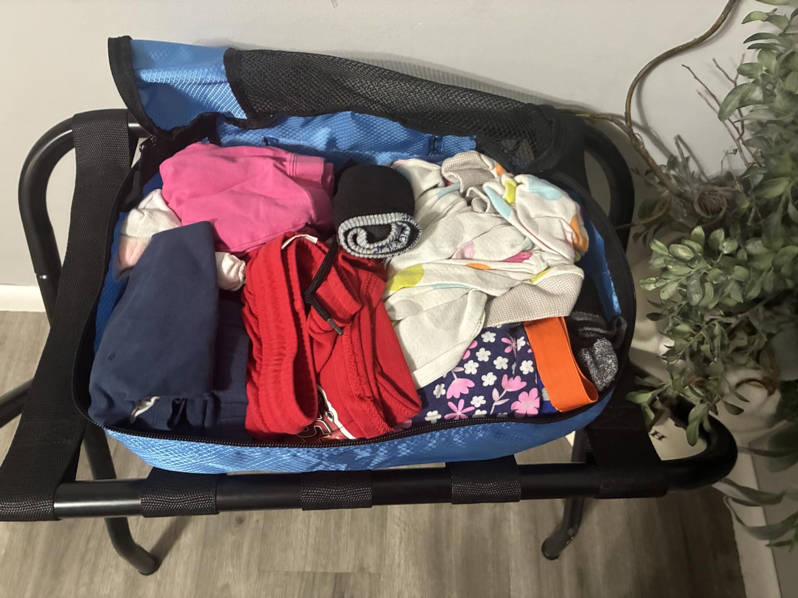 Amazon Essentials 4-Piece Packing Cubes Travel Accessories Set, Luggage Organizer, Suitcase Organizer with Double Zipper, Mesh Top, Space-Saving, Large, Gray (Previously Amazon Basics) customer photo 2