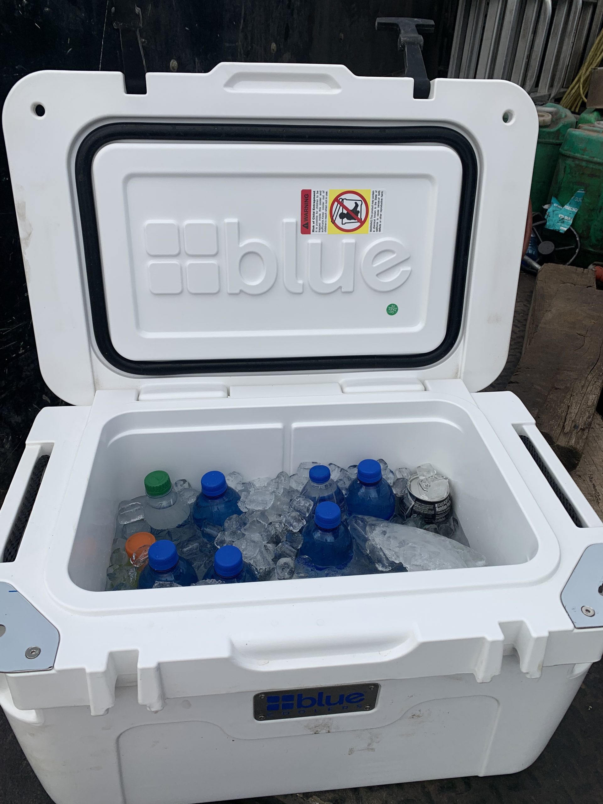 Blue Coolers Companion Cooler - 30 Quart, Roto-Molded Ice Cooler customer photo 2