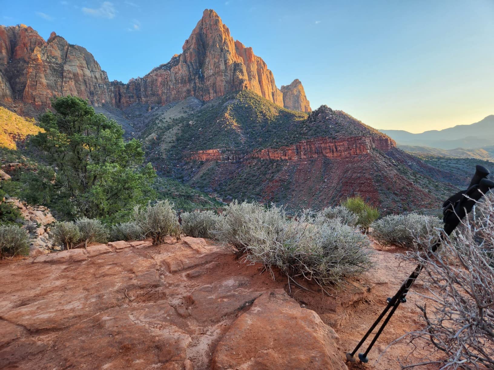 Cascade Mountain Tech Trekking Poles - Carbon Fiber Walking or Hiking Sticks with Quick Adjustable Locks customer photo 1