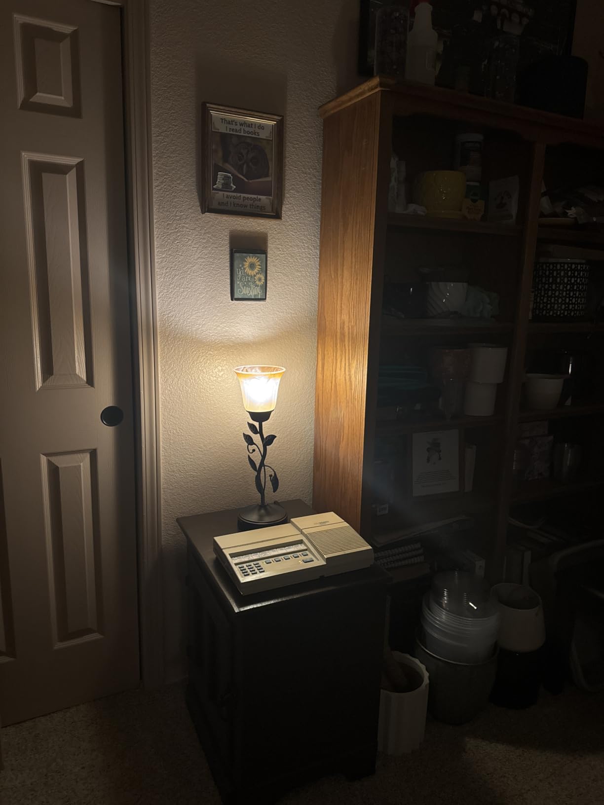 Touch Control Leaf Vintage Table Lamp with 3-Way Dimmable 2 USB C+A Ports customer photo 1