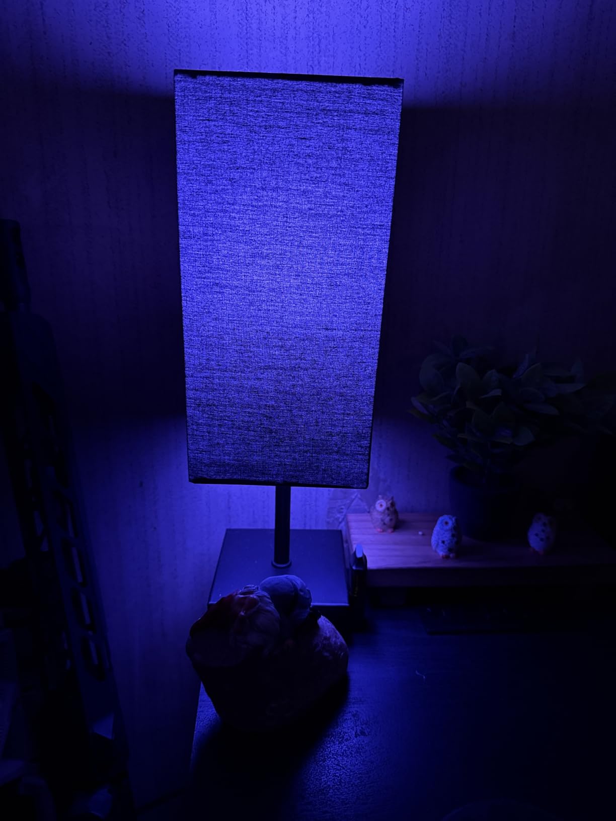 Bedside Table Lamp for Bedroom with 2 USB Ports, 14-Inch, Black customer photo 1