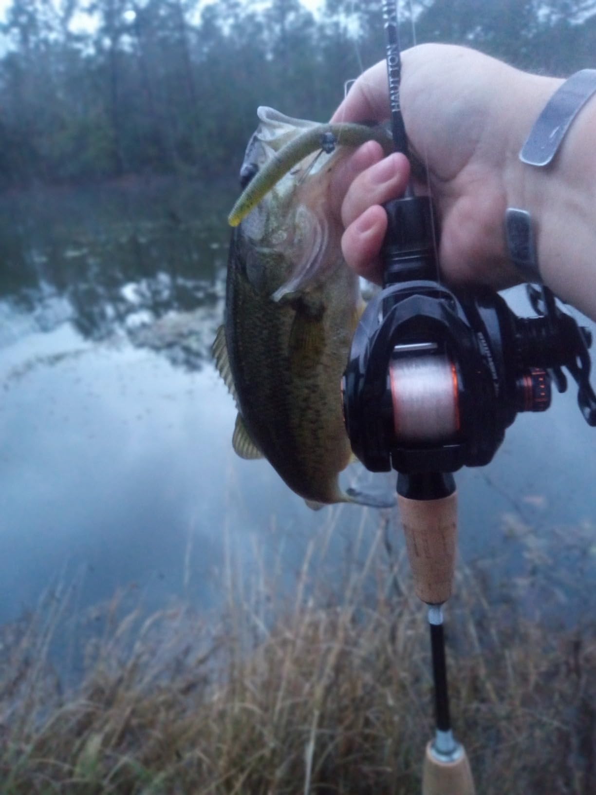 KastKing Zephyr Bait Finesse Baitcasting Fishing Reels with Drag Clicker | Max Drag: 10.0 lb, 6+1 BB, 5.6 oz, Carbon Fiber Frame, 8 Button Magnetic Brake, 7.2:1 Gear Ratio, Palm Perfect Design customer photo 2