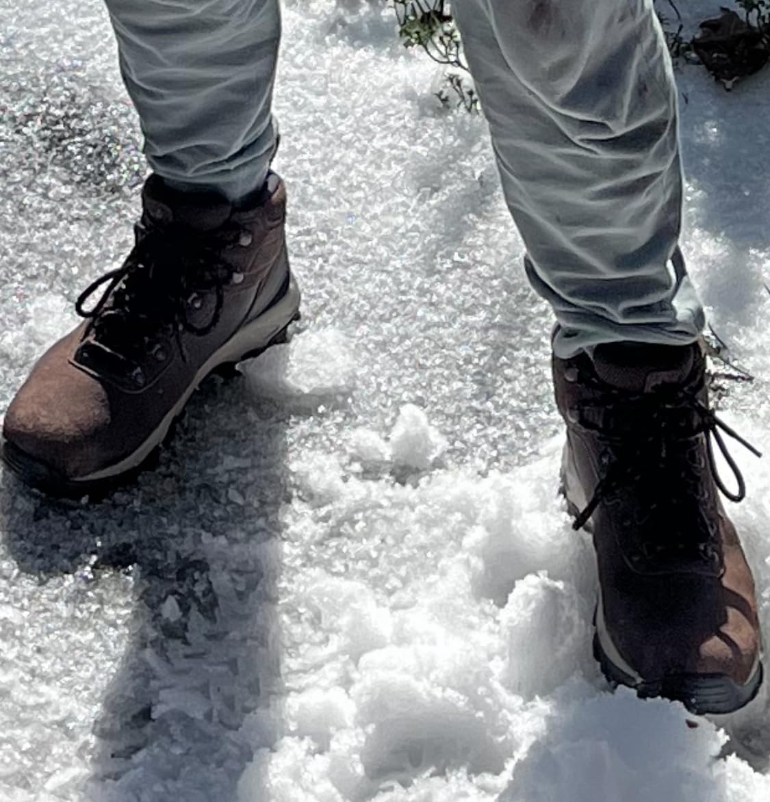 Columbia Newton Ridge Plus II Suede Waterproof Hiking Boots customer photo 2