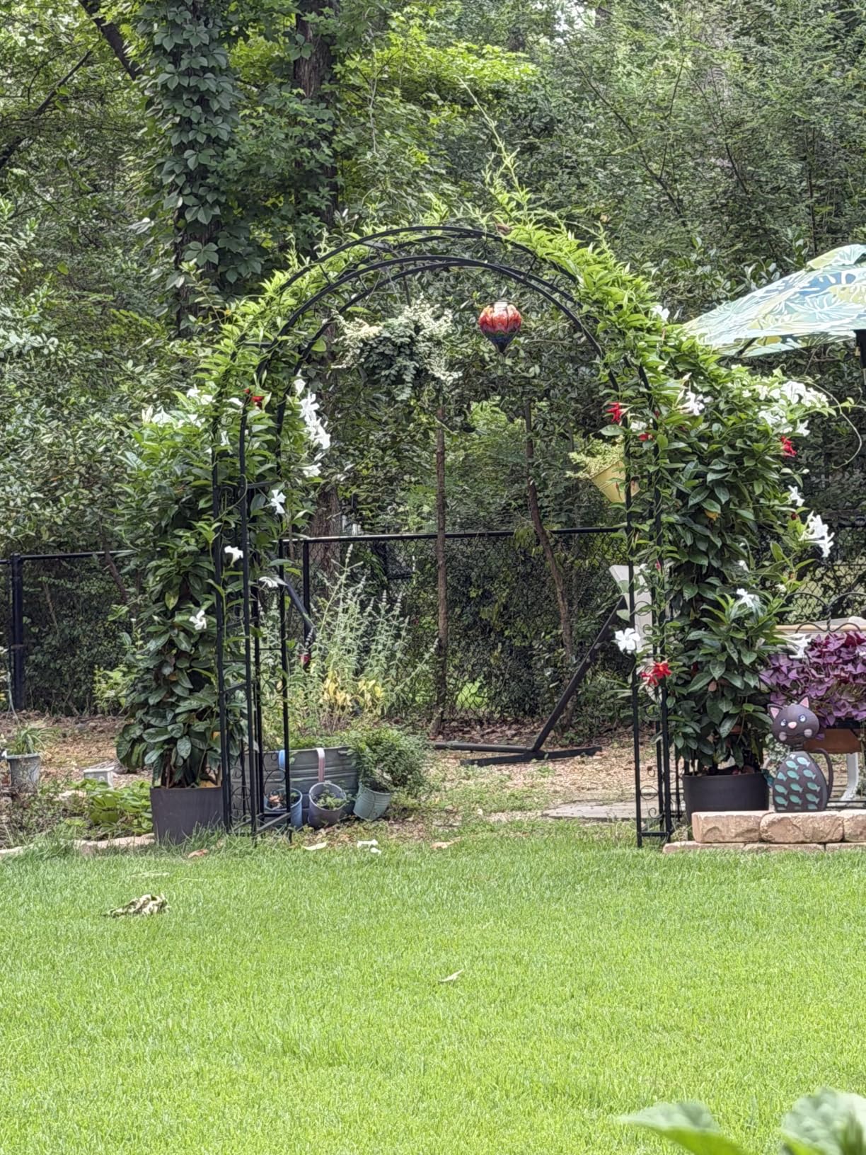 VINGLI Garden Arbor, Arch Archway for Wedding Ceremony Party, Steel Garden Trellis for Plant Climbing, Christmas Garden Decorations Pergola for Garden, Backyard, Lawn (Black, 52.2x22.8x83.9in) customer photo 1