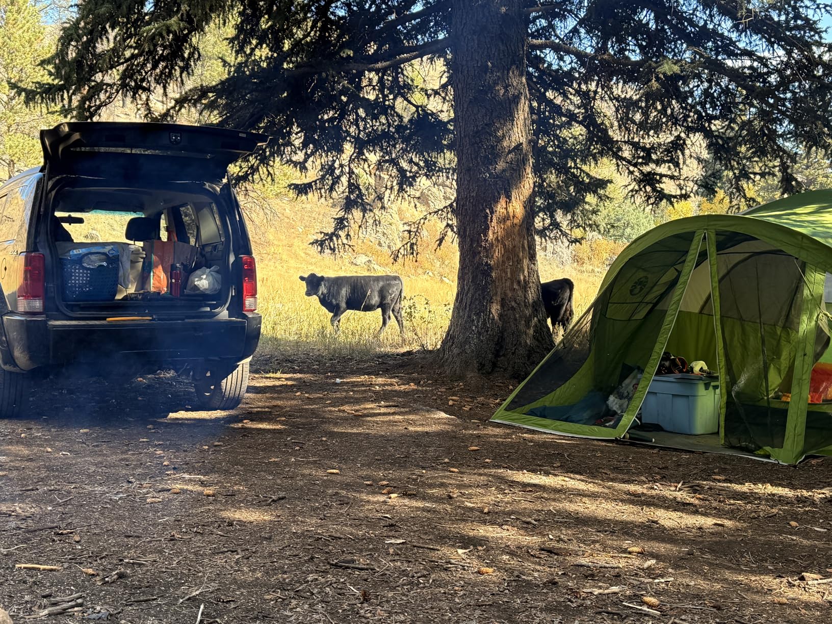 Coleman Evanston Tent with Screen Room Weatherproof Tent Sets Up in 15 Mins Included Rainfly & Carry Bag Made of PFAS-Free Materials customer photo 1