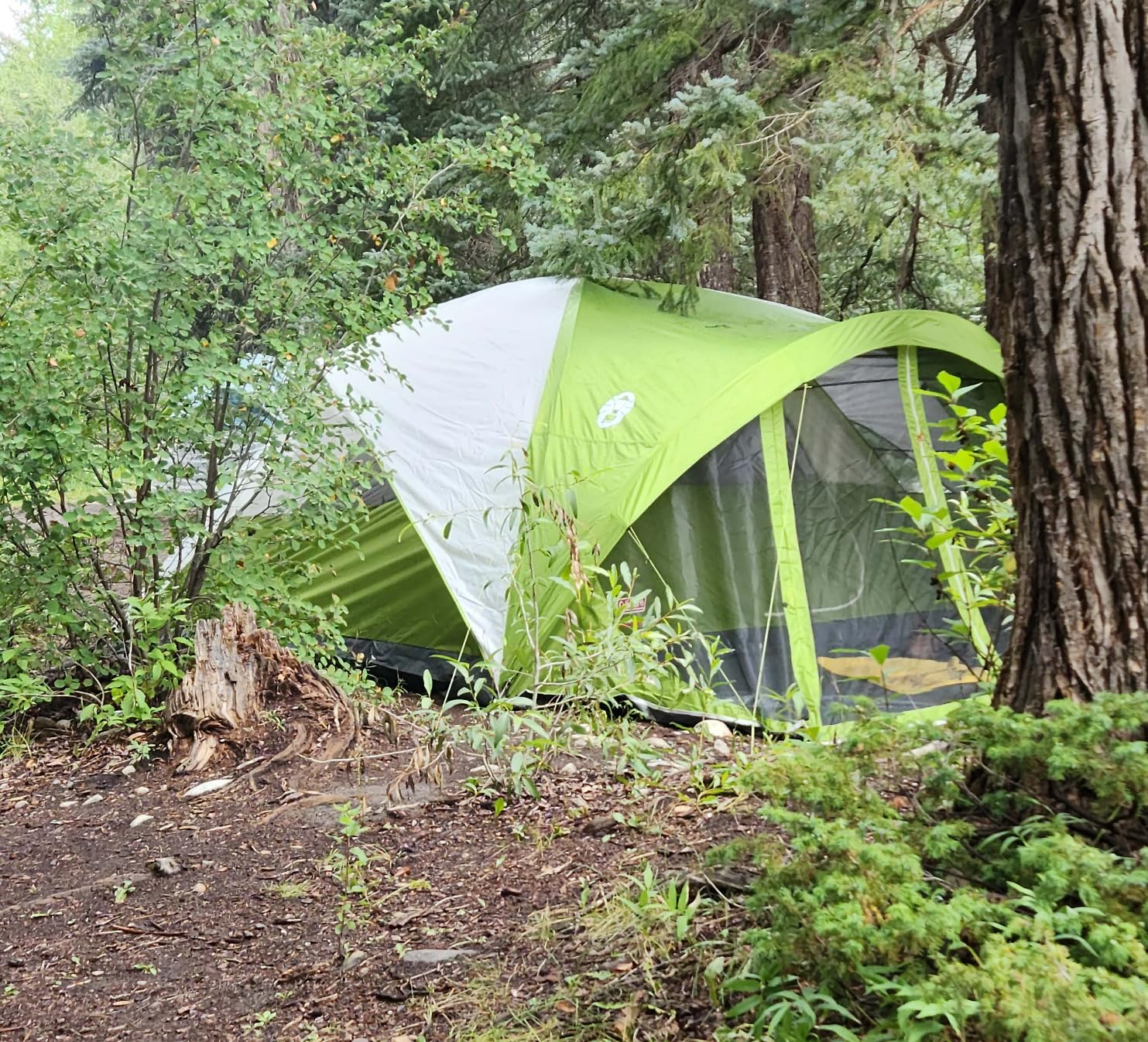 Coleman Evanston Tent with Screen Room Weatherproof Tent Sets Up in 15 Mins Included Rainfly & Carry Bag Made of PFAS-Free Materials customer photo 2