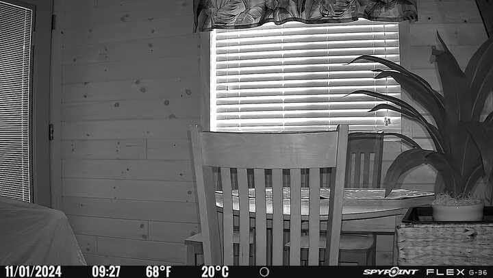 SPYPOINT Flex G-36 Camo - Outdoor Cellular Trail Camera, 1080p Video with Sound, 36 Megapixels, 0.3S Trigger Speed, 100 Flash and Detection Range with Improved Battery Life customer photo 1