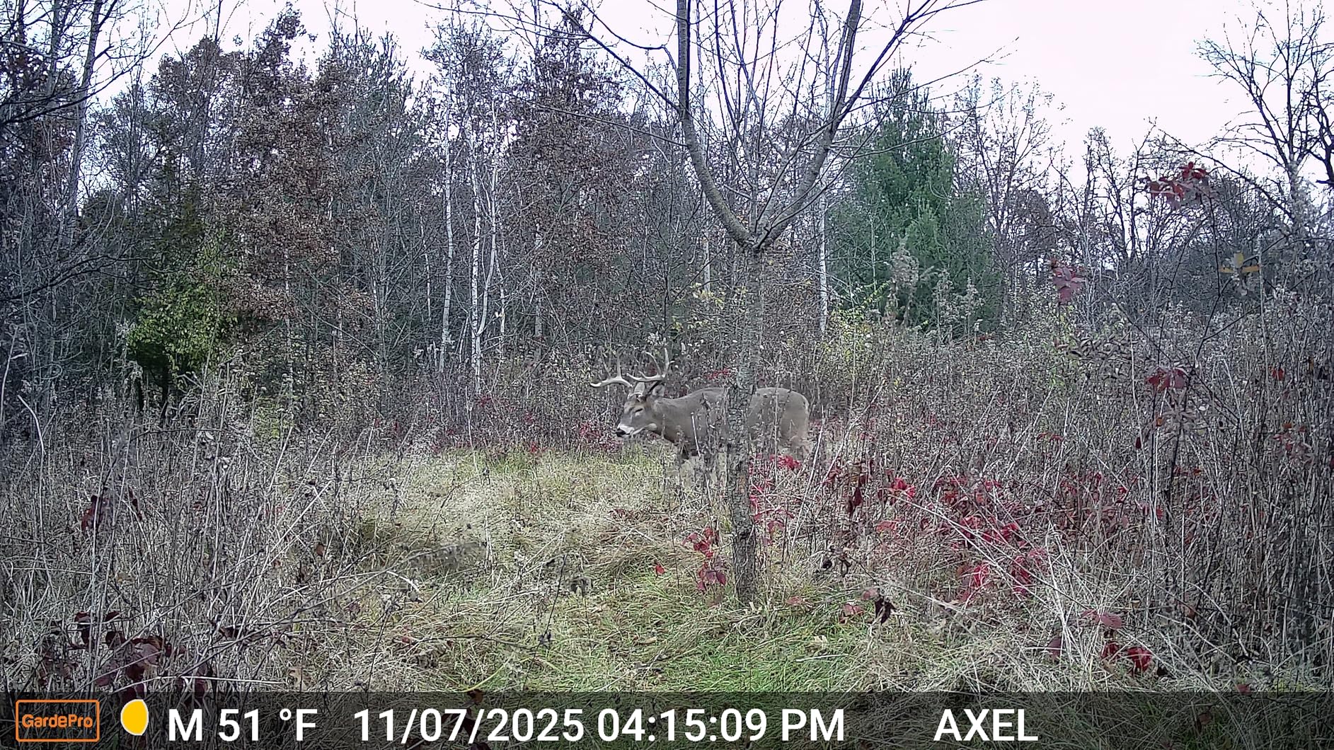 GardePro E5S 2-Pack Trail Camera (Non-Cellular, Non-WiFi), 64MP Photo & 1296P HD Video, 0.1s Trigger, 100ft No-Glow Night Vision, Motion Activated Wildlife Camera customer photo 1
