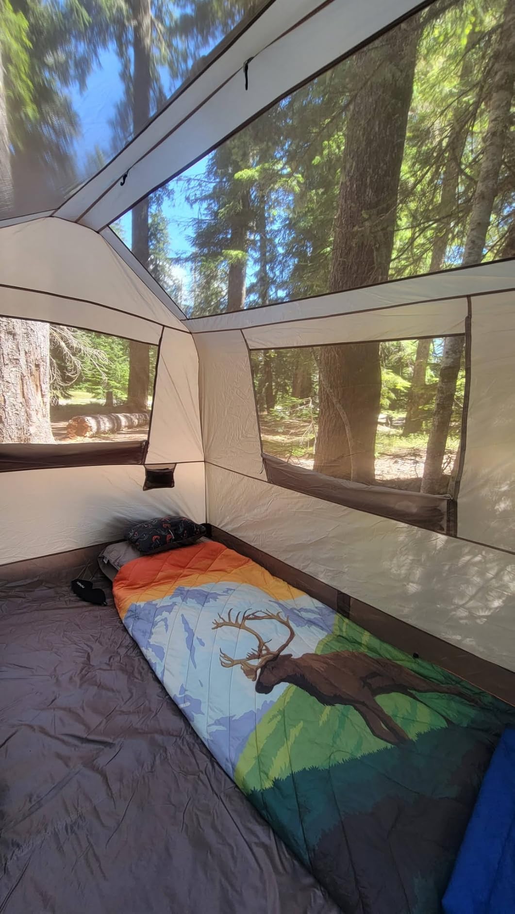 Village Instant Tent, 4 Person 8 Person Camping Tent with Full Rainfly, Waterproof Large Cabin Tents for Car Camping customer photo 1