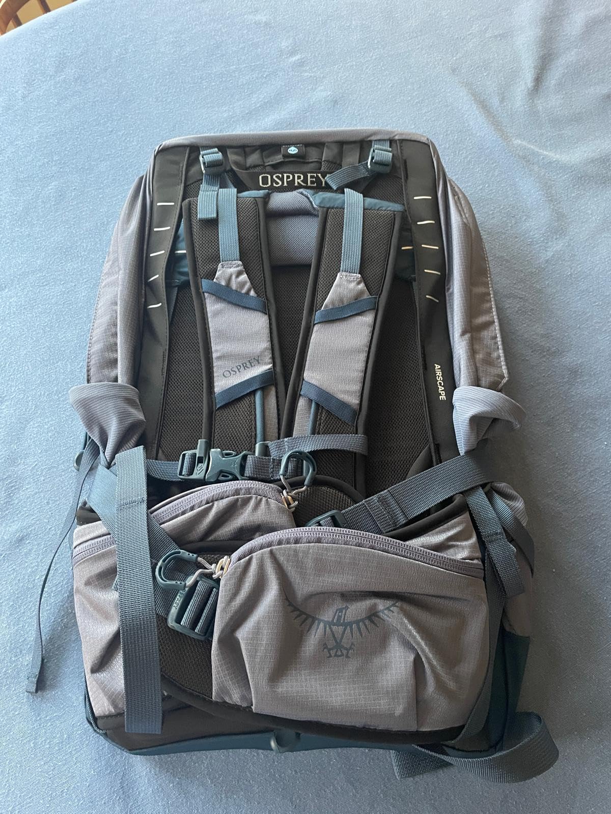 Osprey Tempest 22L Women's Lightweight Hiking Backpack - Small Daypack for Travel & Camping, Deep Fig/Hotspot Pink customer photo 2