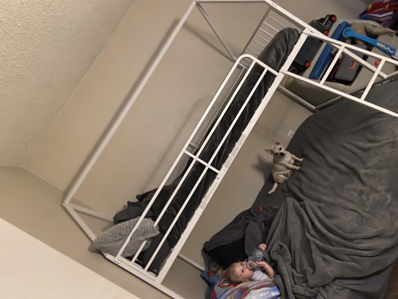 LIKIMIO Bunk Bed Twin Over Full, House Bed Frame with Ladder, Black | Twin Over Full House-Shaped Bunk Bed. Metal Frame with Guardrail. 350 lb upper, 450 lb lower. No Box Spring. customer photo 1