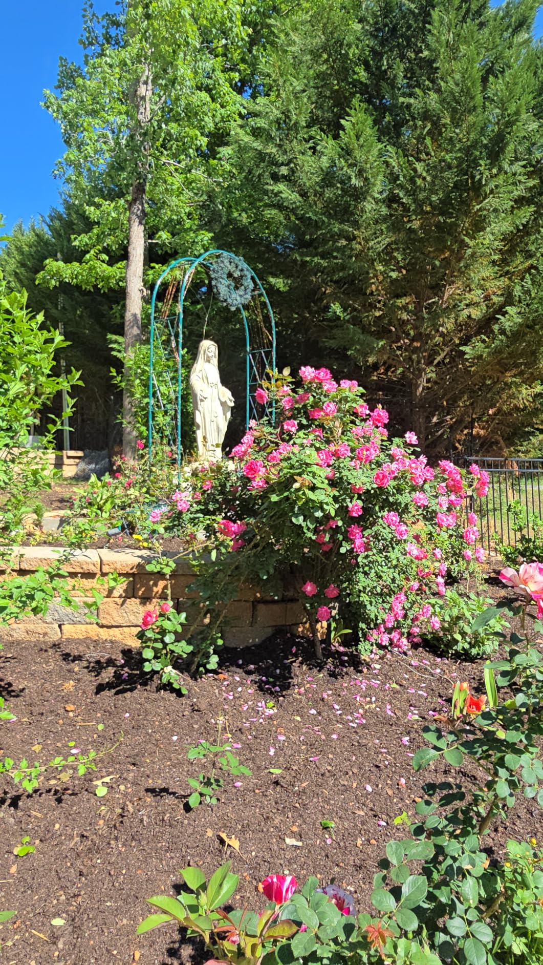 Heavy Duty Garden Arch Trellis for Climbing Plants Outdoor, Metal Garden Arbors Archway Arched Trellis with Planter Boxes, Wedding Arches for Ceremony Arch Backdrop Stands for Party Decorations, Black customer photo 1