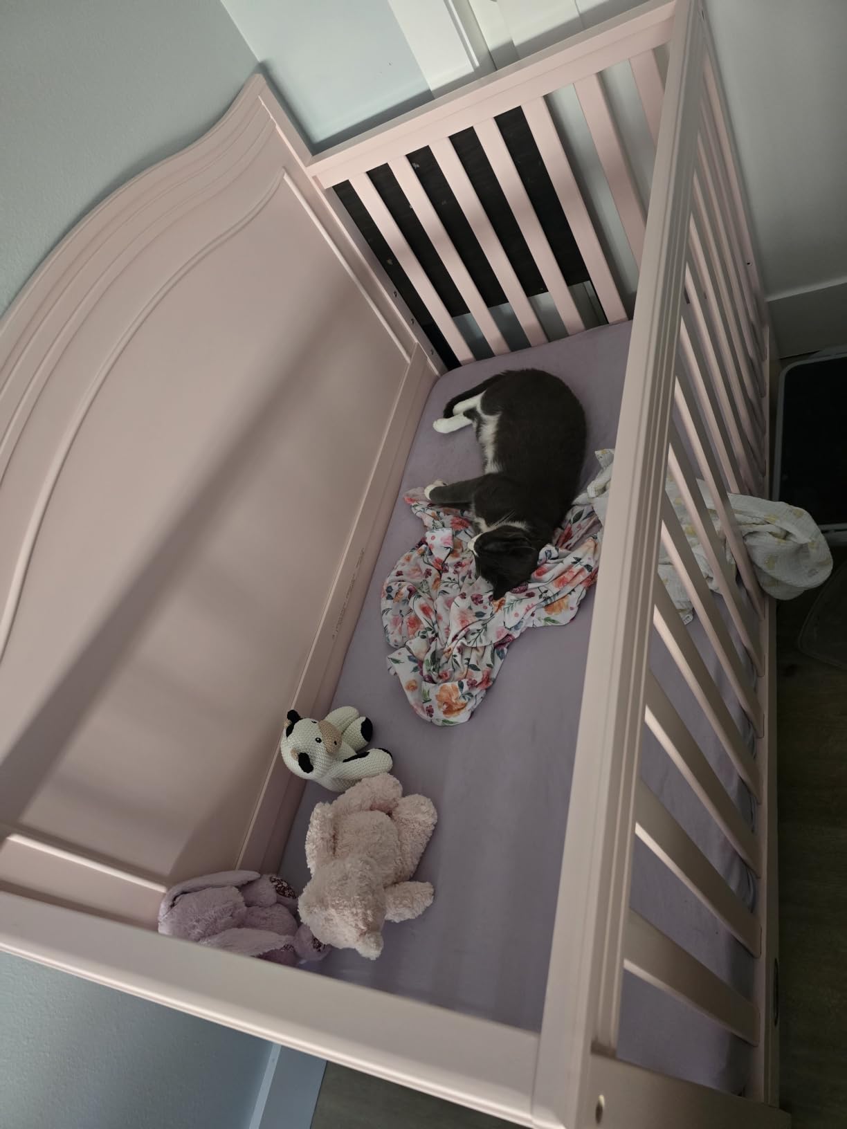 Graco Paris 4-in-1 Convertible Crib - GREENGUARD Gold Certified, Converts to Toddler Bed and Daybed, Fits Standard Full-Size Crib Mattress, Adjustable Mattress Support Base (Blush) customer photo 1