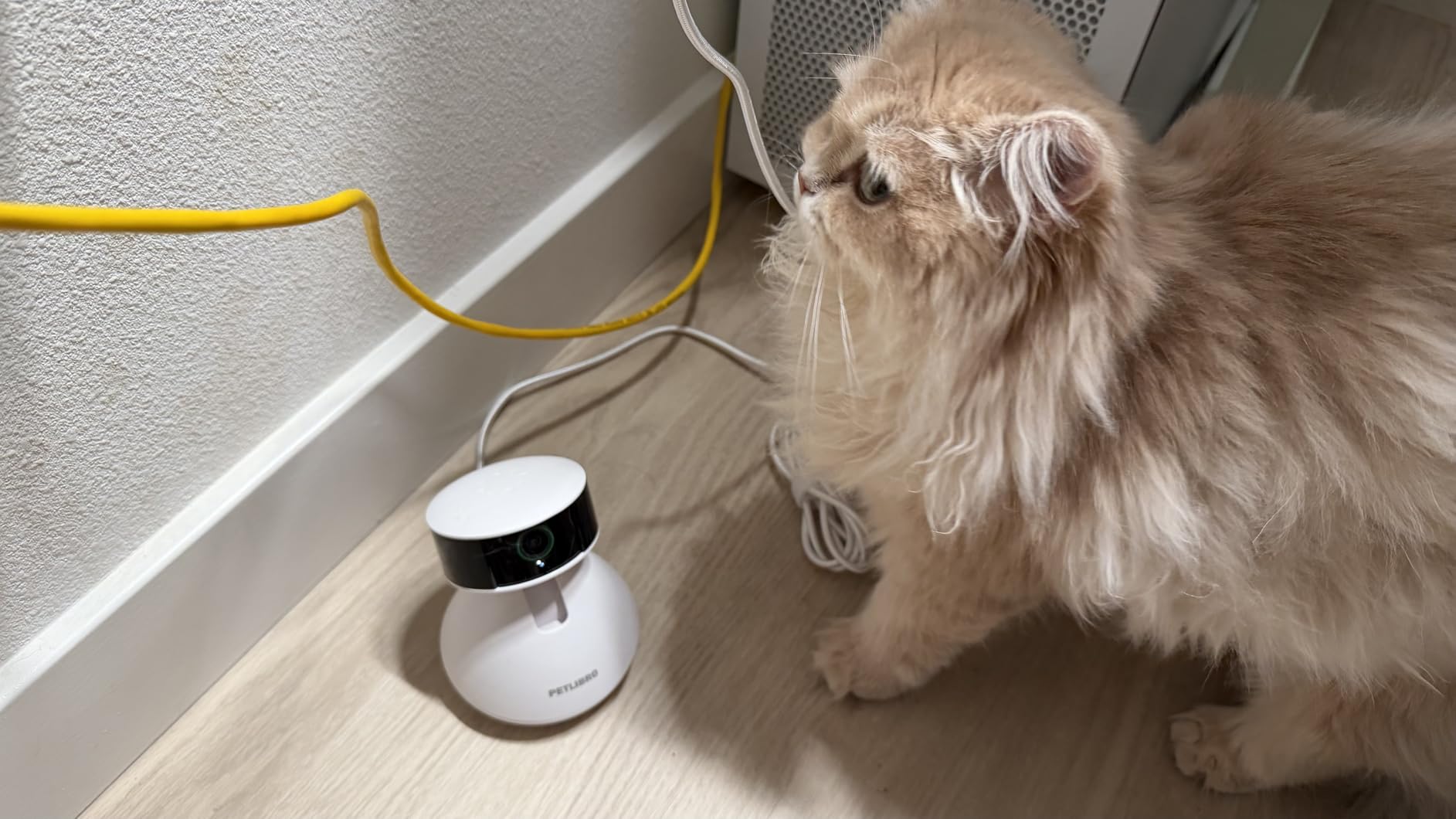 PETLIBRO AI Dog Camera Pet Camera Indoor with Phone App [Multi-Pet Recognition, Daily Activity Analysis & Smart Summaries] Cat Cam 360 View, 1080P Dog Cam Night Vision, 2-Way Audio Home Camera WiFi customer photo 2
