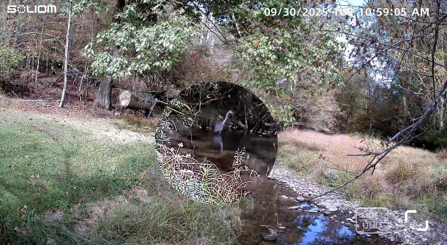 SOLIOM 4K Solar Security Cameras Wireless Outdoor System, 4-Cam Kit | No monthly fees with 32GB local storage, radar motion detection, 360° auto tracking, color night vision, and 2.4/5GHz WiFi customer photo 1