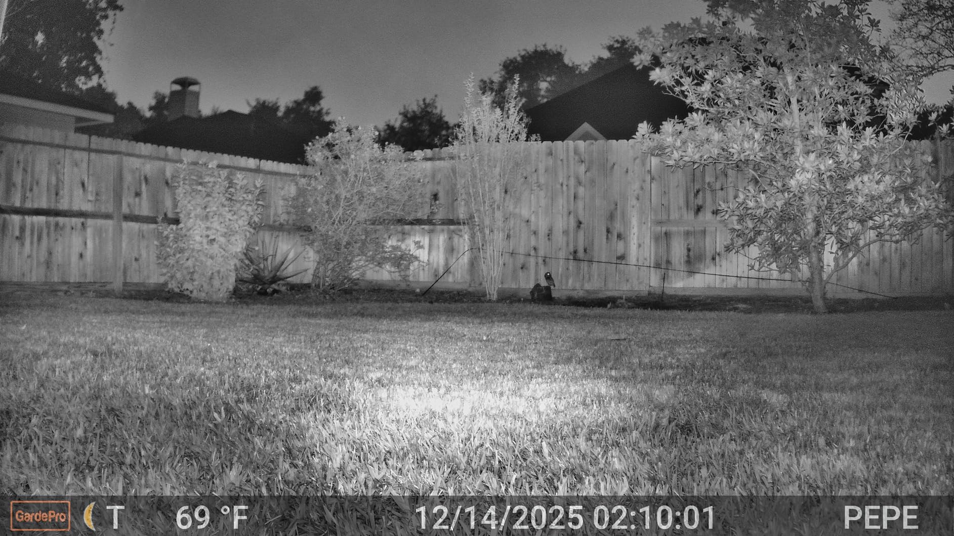 GardePro E8 2.0 Pro WiFi Bluetooth Trail Camera (Non-Cellular) - Triple-PIR Motion Sensor, Dual Antennas for Stable Connection, 4K Video, Rechargeable Battery, On-Site Viewing, Motion Activated customer photo 1