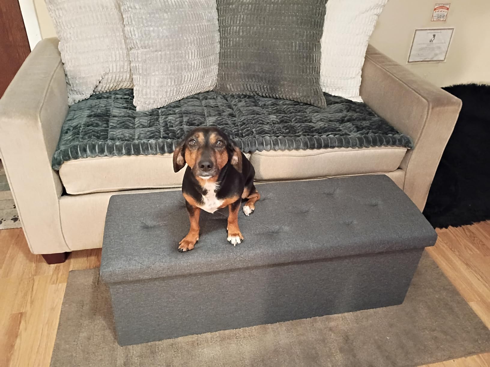 DUMOS 43 Inch Folding Storage Ottoman Bench, Large Hidden Storage Chest with Thicker Foam Padded Seat, End of Bed Foot Rest Stool for Bedroom Living Room Entryway, Load 660 lbs, Grey customer photo 1