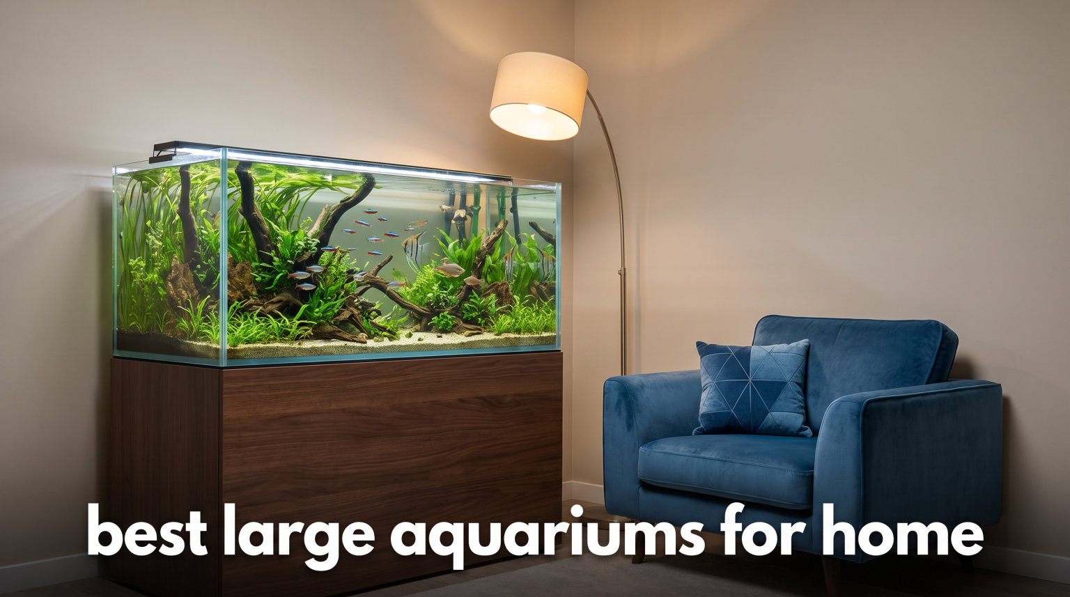 best large aquariums for home