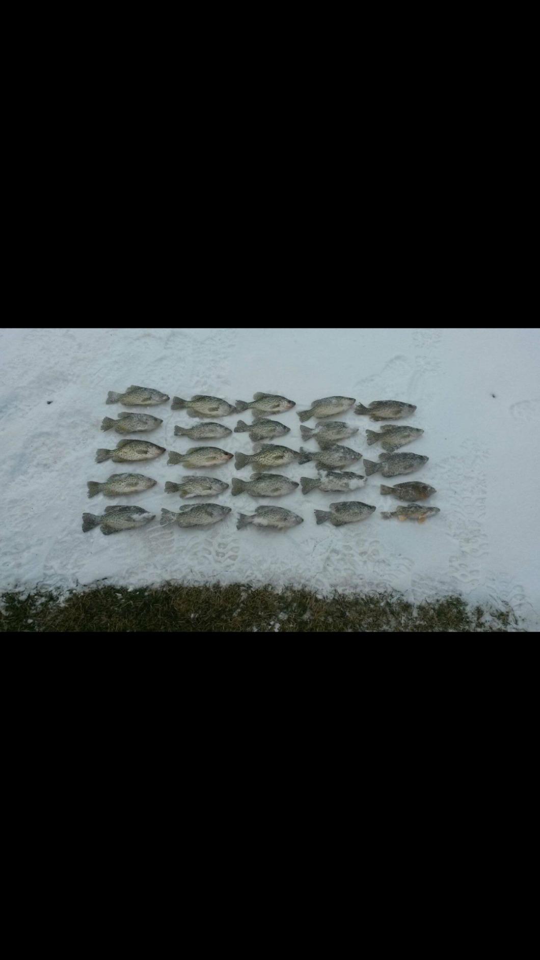Vexilar FL-8se Genz Pack with 19 Degree Ice Flasher - GP0819 customer photo 2