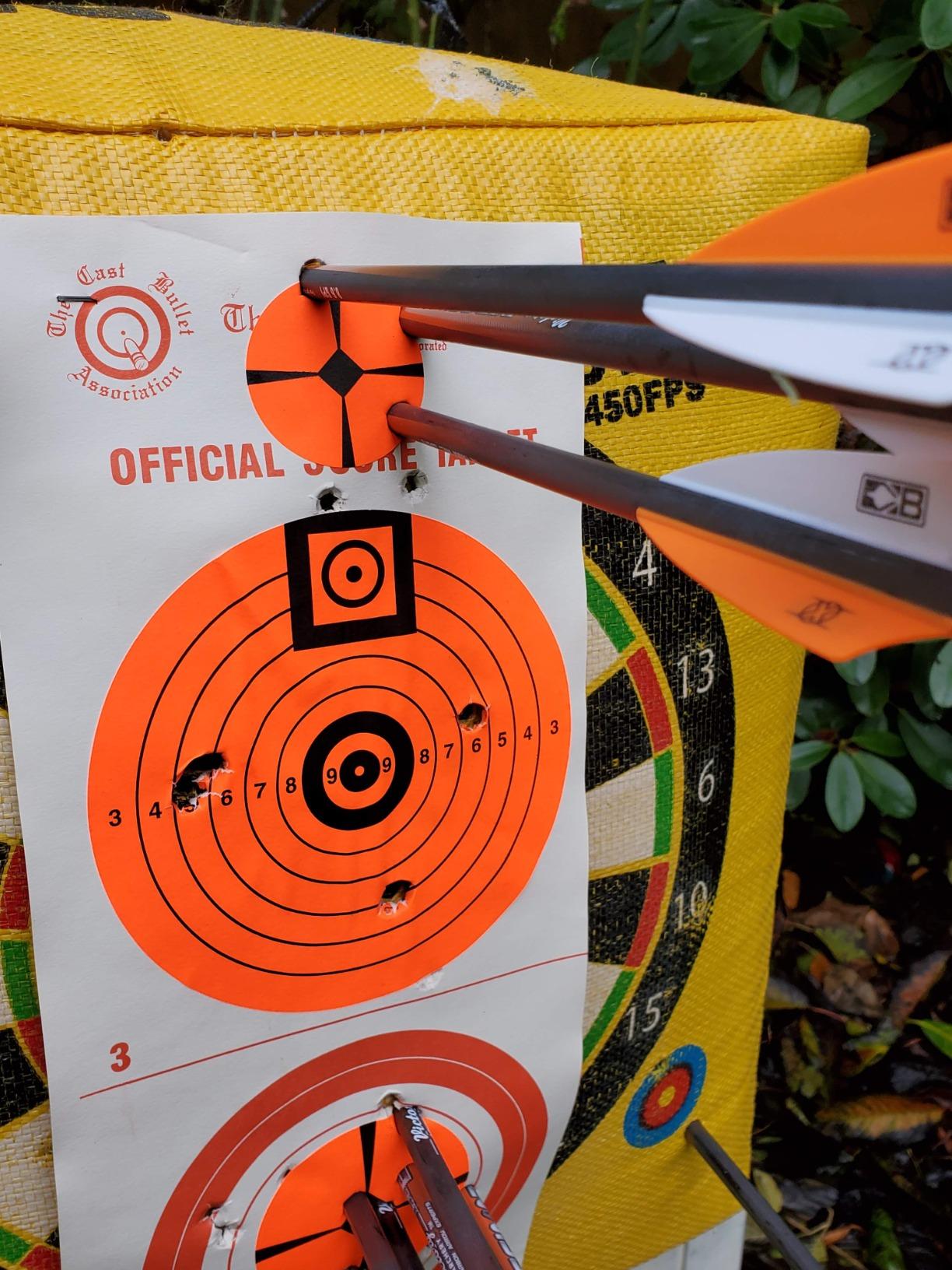 Morrell Double Duty 450 FPS Cube Field Point Archery Bag Target with Traditional Bullseyes, Nine-Ball, Dartboard Game, and Deer Vitals, Yellow customer photo 2