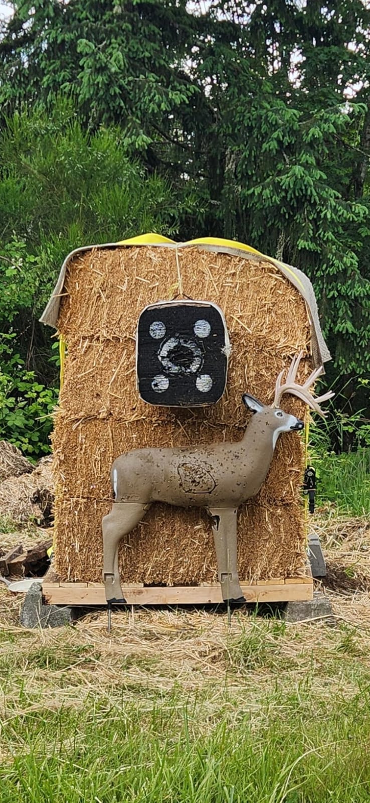 SHOOTER Buck 3D Archery Target, Replaceable Insert for Long Life, Weather-Resistant Construction, High-Density Impact-Response Foam Withstands Field Points, Broadheads, and Expandables customer photo 1