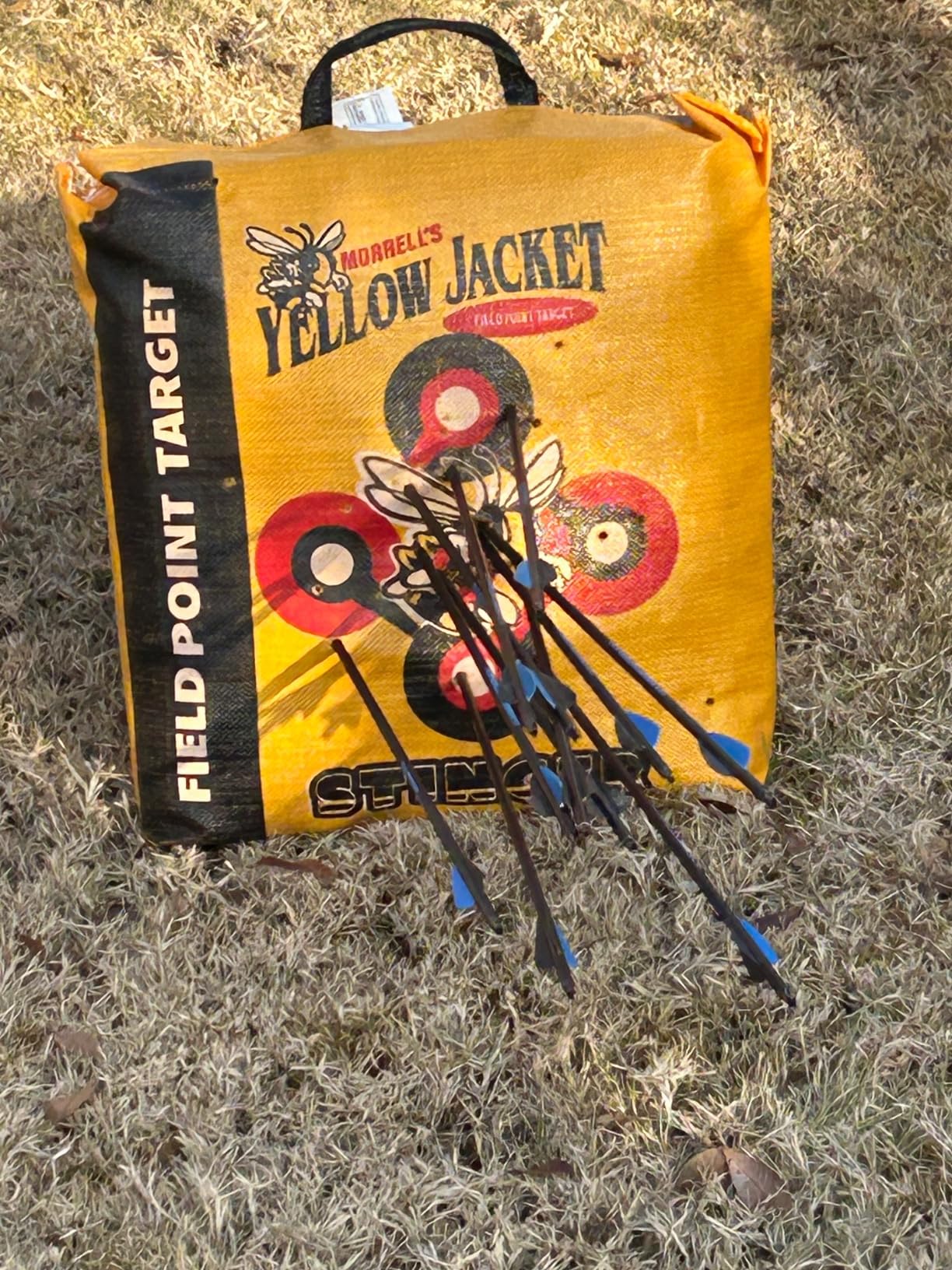 Morrell Yellow Jacket Stinger, Field Point Archery Target with 2 Shooting Sides & 10 Bullseyes - Portable Backyard Hunting Practice Bag with E-Z Tote Carrying Handle & Easy Arrow Removal customer photo 1
