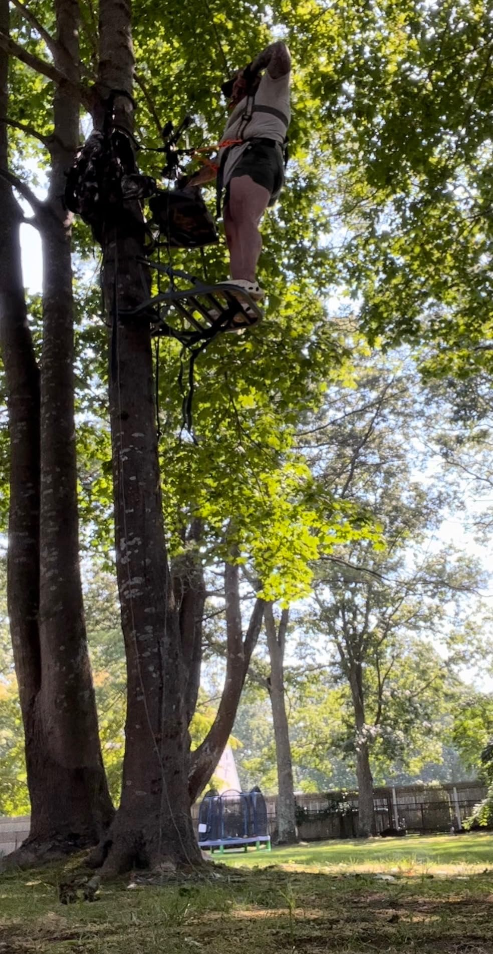 Summit Treestands OpenShot SD Climbing Treestand, Mossy Oak customer photo 2