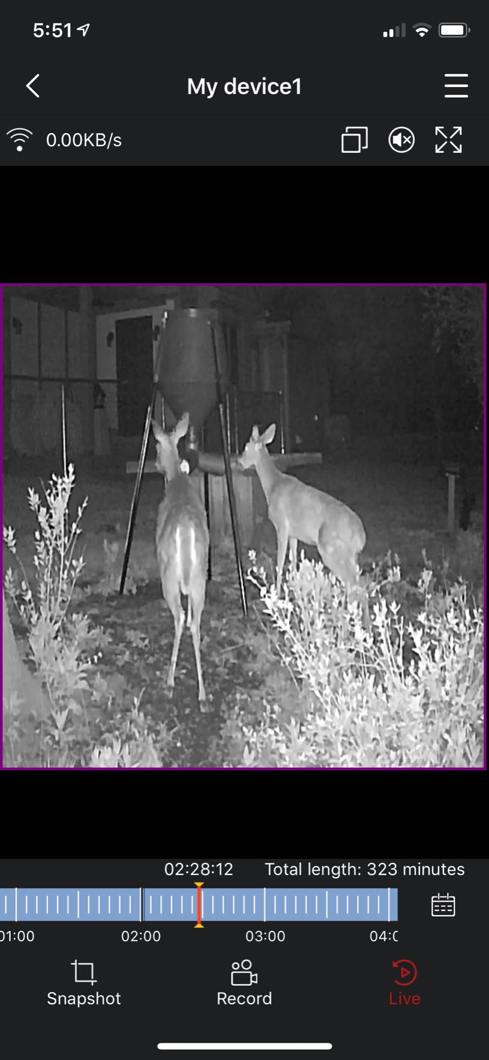 Boss Buck 200 Pound Large Capacity Hunting Gravity Fed Tripod Wildlife Game Deer Corn and Protein Pellet Feeder for Wildlife Attraction & Maintenance | All-Season Automatic Wildlife Feeding System with Adjustable Flow, 75-Inch Galvanized Legs, and 3-Way Feed Ports customer photo 2