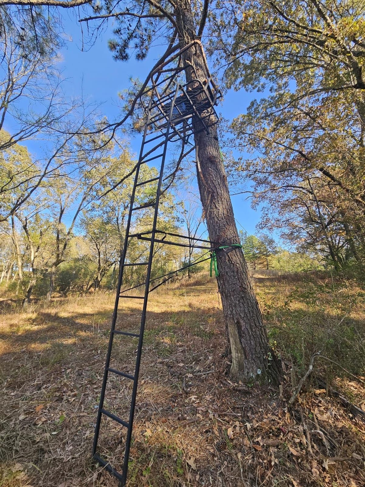 Muddy 2-Person Ladder Tree Stand for Deer Hunting, 17' Tall, Black | The Partner customer photo 2
