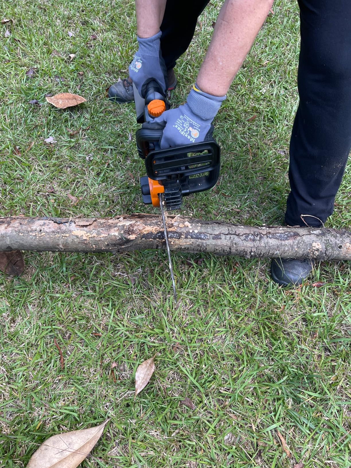 Worx WG322 20V Power Share 10