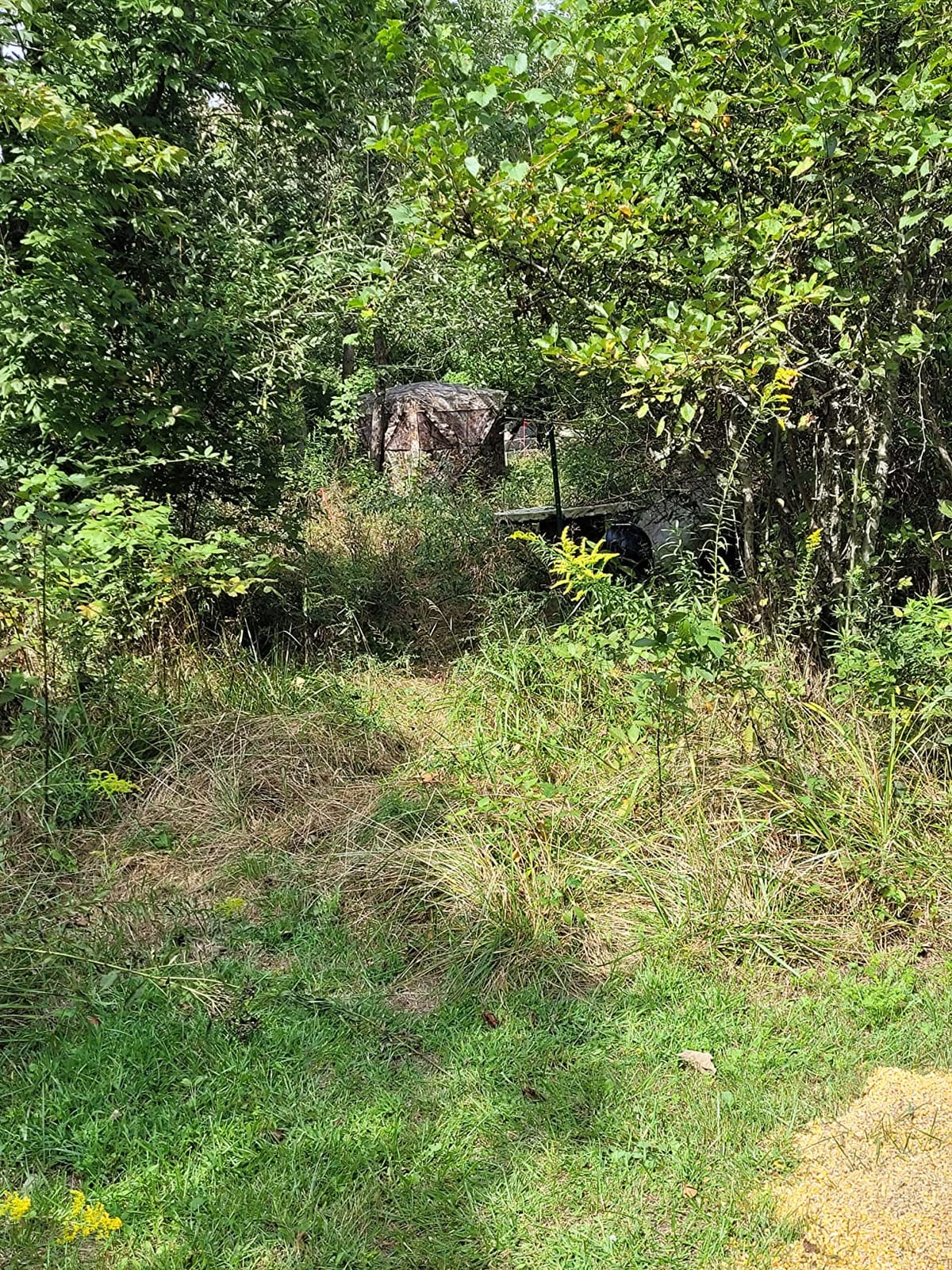 Ameristep Caretaker Hunting Blind, Mossy Oak Break-Up Country Camo, 2-Person Pop Up Ground Blind customer photo 2