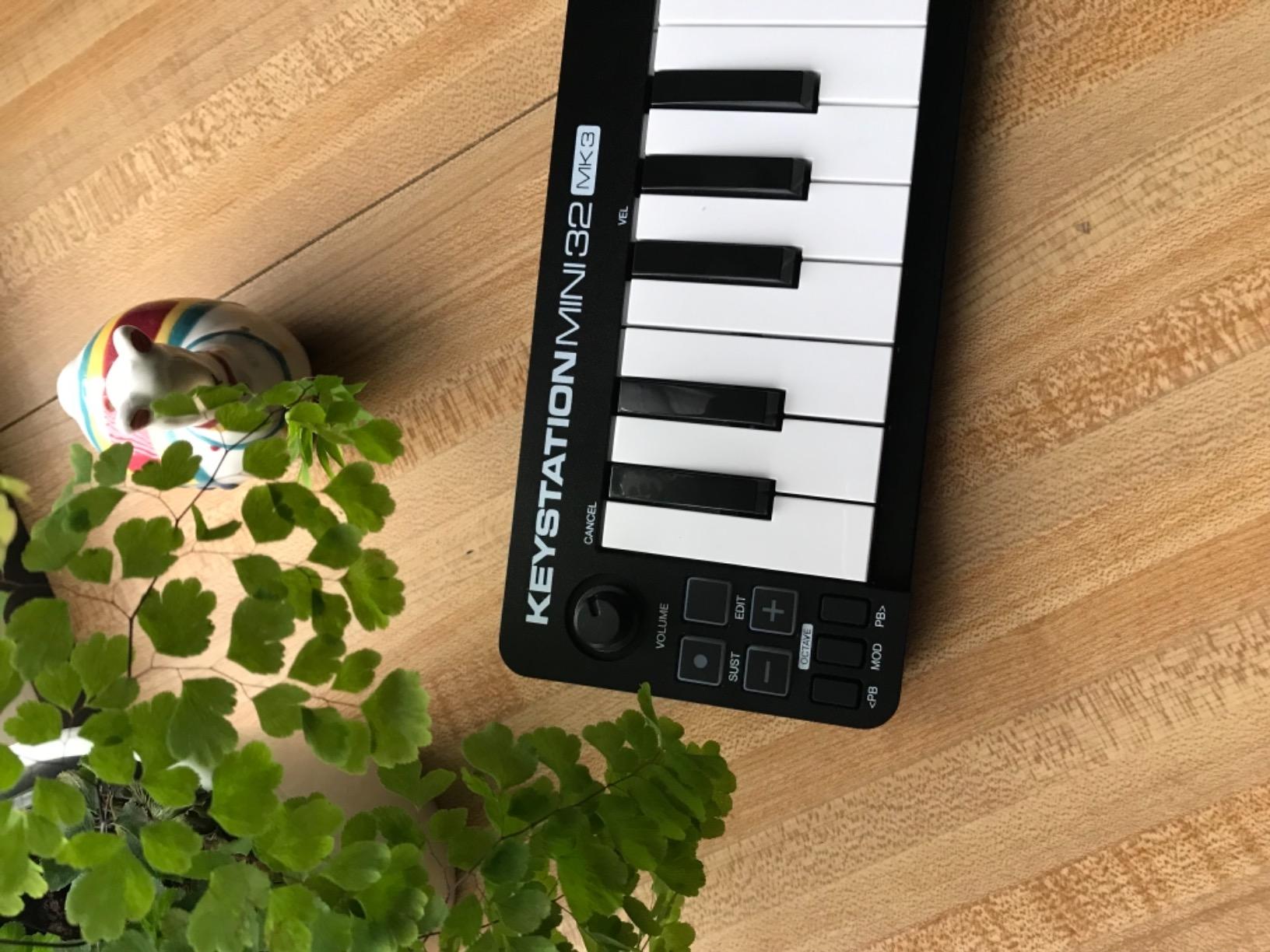 M-AUDIO Keystation Mini 32 MK3 USB MIDI Keyboard Controller with 32 Velocity Sensitive Mini Keys and Recording Software Included customer photo 1