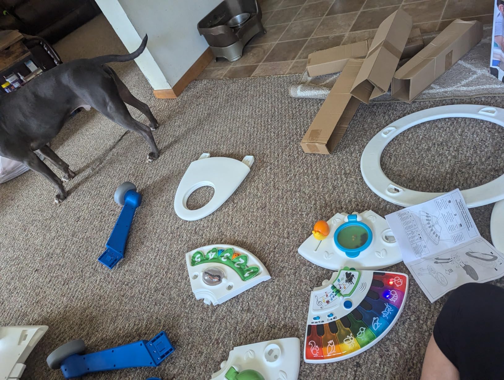 Baby Einstein 4-in-1 Activity Center & Walker with Piano, Age 6M+ | 4 ways to grow: walker, discovery table, art table & floor play-entertains babies 6-36 months with 15+ activities customer photo 1