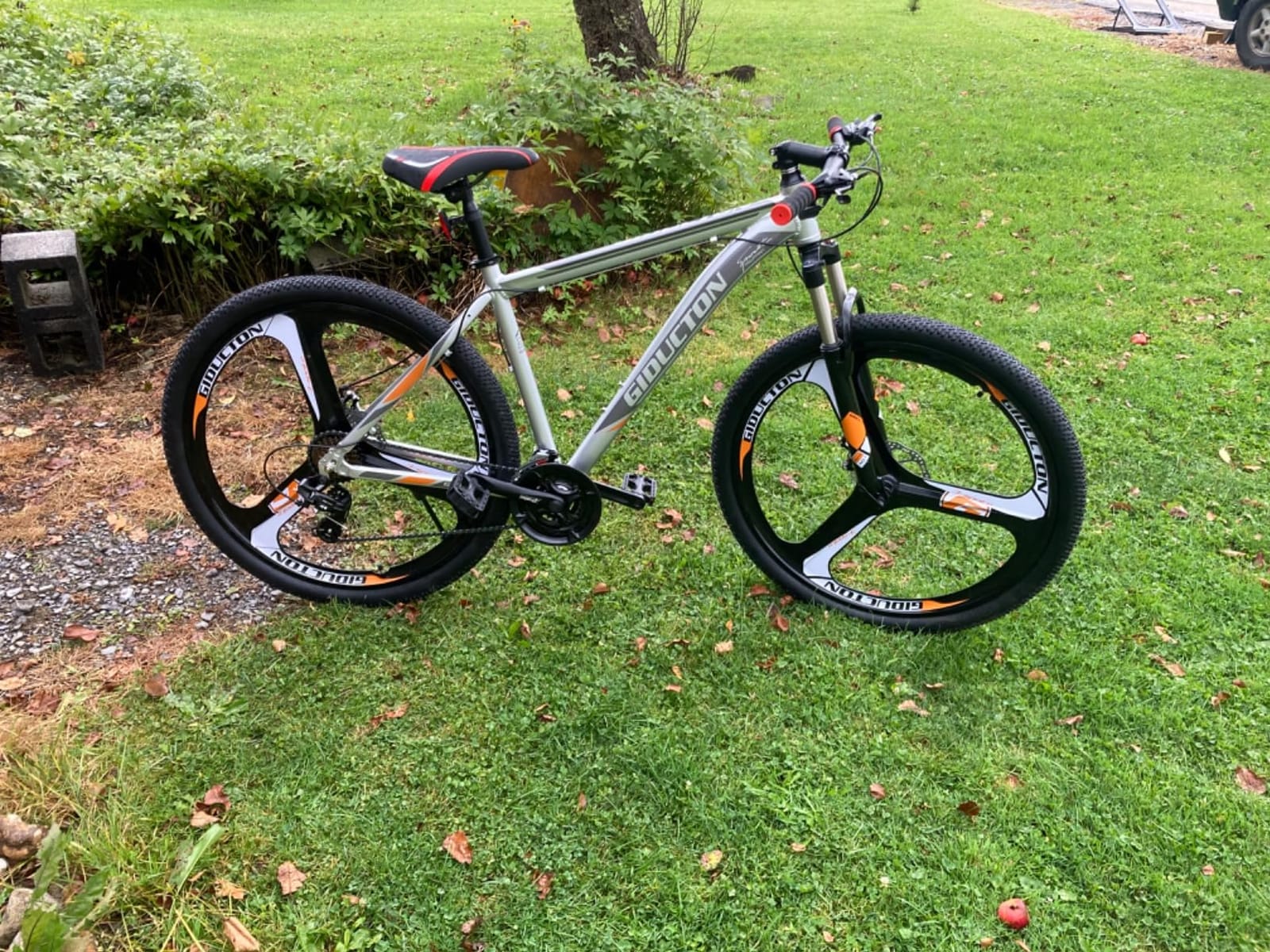 EUROBIKE 29