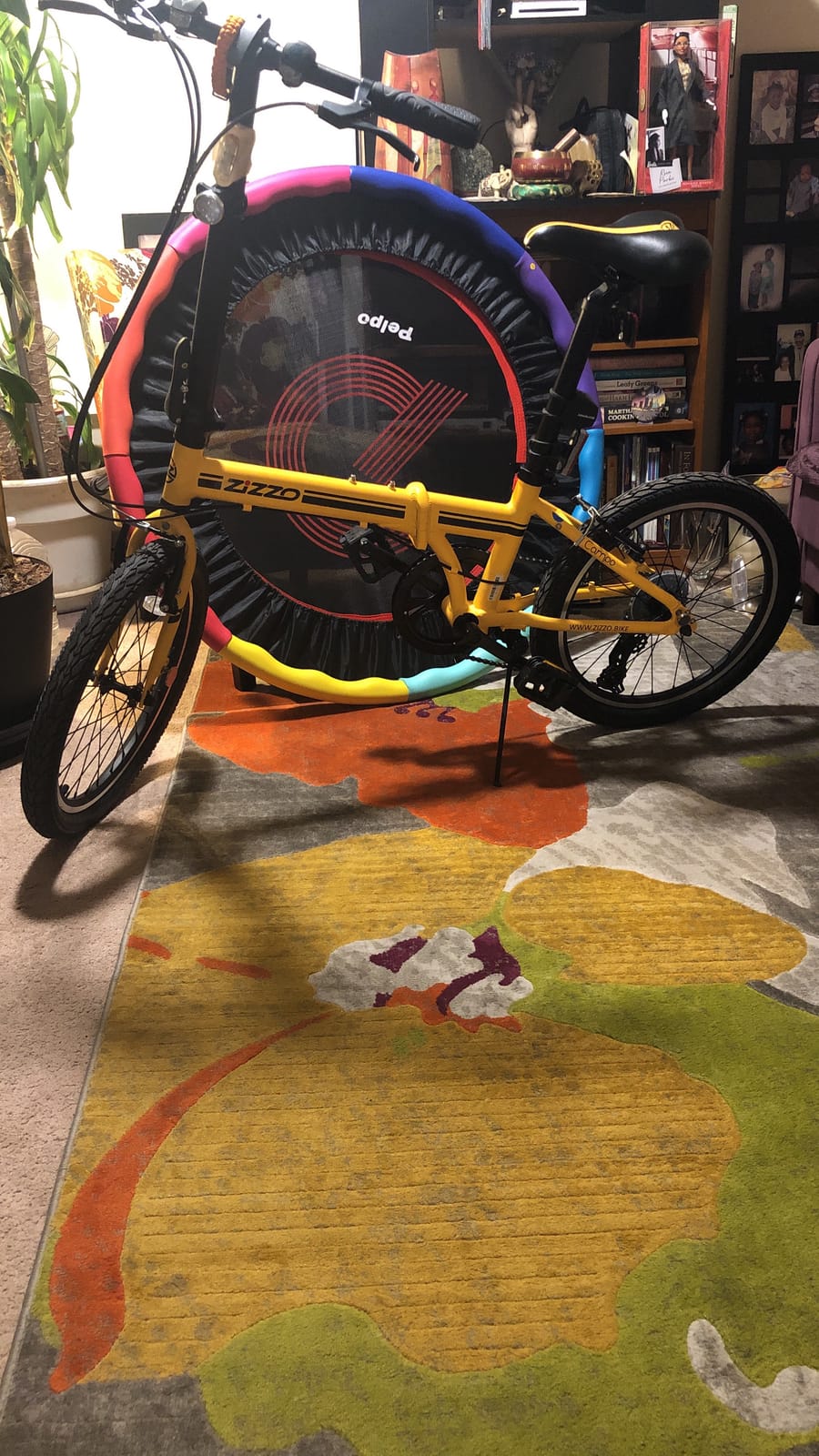 ZiZZO Marino Rust Resistant 8-Speed Aluminum 20 inch Folding Bicycle customer photo 1