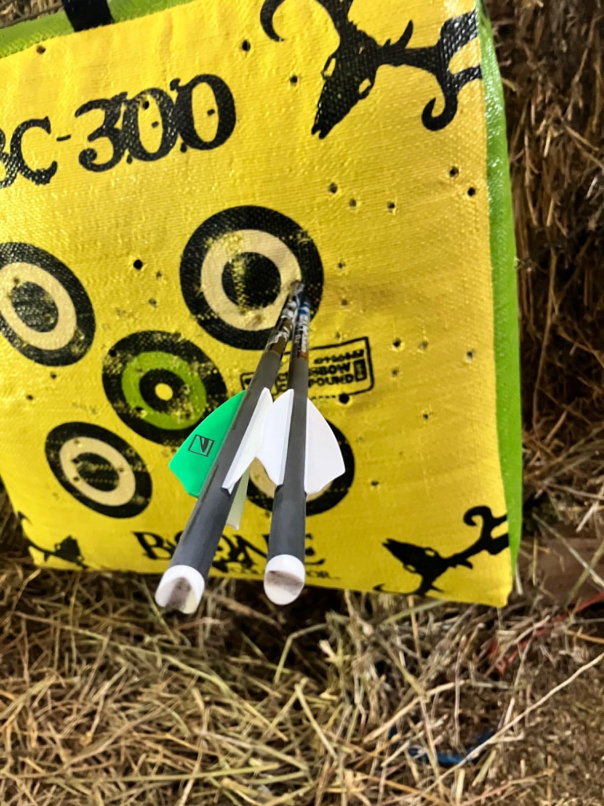 Killer Instinct Boss 405 Crossbow Pro Package with 4x32 IR-W Scope, Rope Cocker, String Suppressors, 3-Bolt Quiver, 3 Hypr Lite Bolts and Field Tips customer photo 1