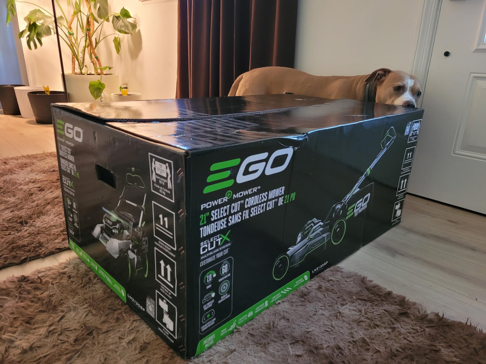 EGO POWER+ 21-Inch Cordless Electric Self-Propelled Lawn Mower Kit - LM2135SP customer photo 1