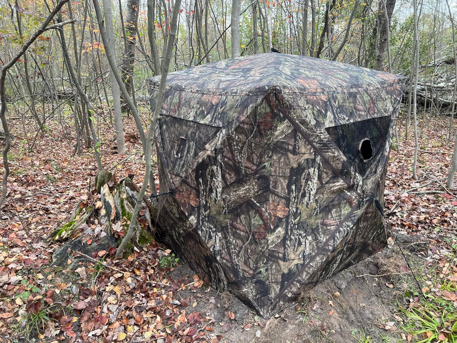Ameristep Brickhouse Hunting Blind | 3-Person Ground Blind in Mossy Oak Break-Up Country, One Size | 3-Person Hub Ground Blind, Durashell Plus Shell, Shadowguard Interior, 10 Shoot-Through Windows, 59×59×67 in customer photo 1
