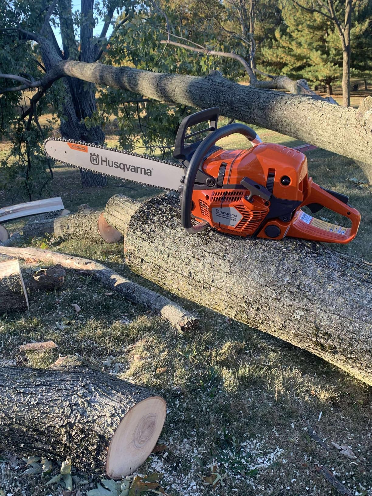 Husqvarna 967690628 545 Mark II Professional Gas Chainsaw, Tree Cutter, 20 inch chainsaw with 50.1cc 3.6 HP 2-cycle X-Torq engine, adjustable chain oil pump for professional tree felling and limbing customer photo 1