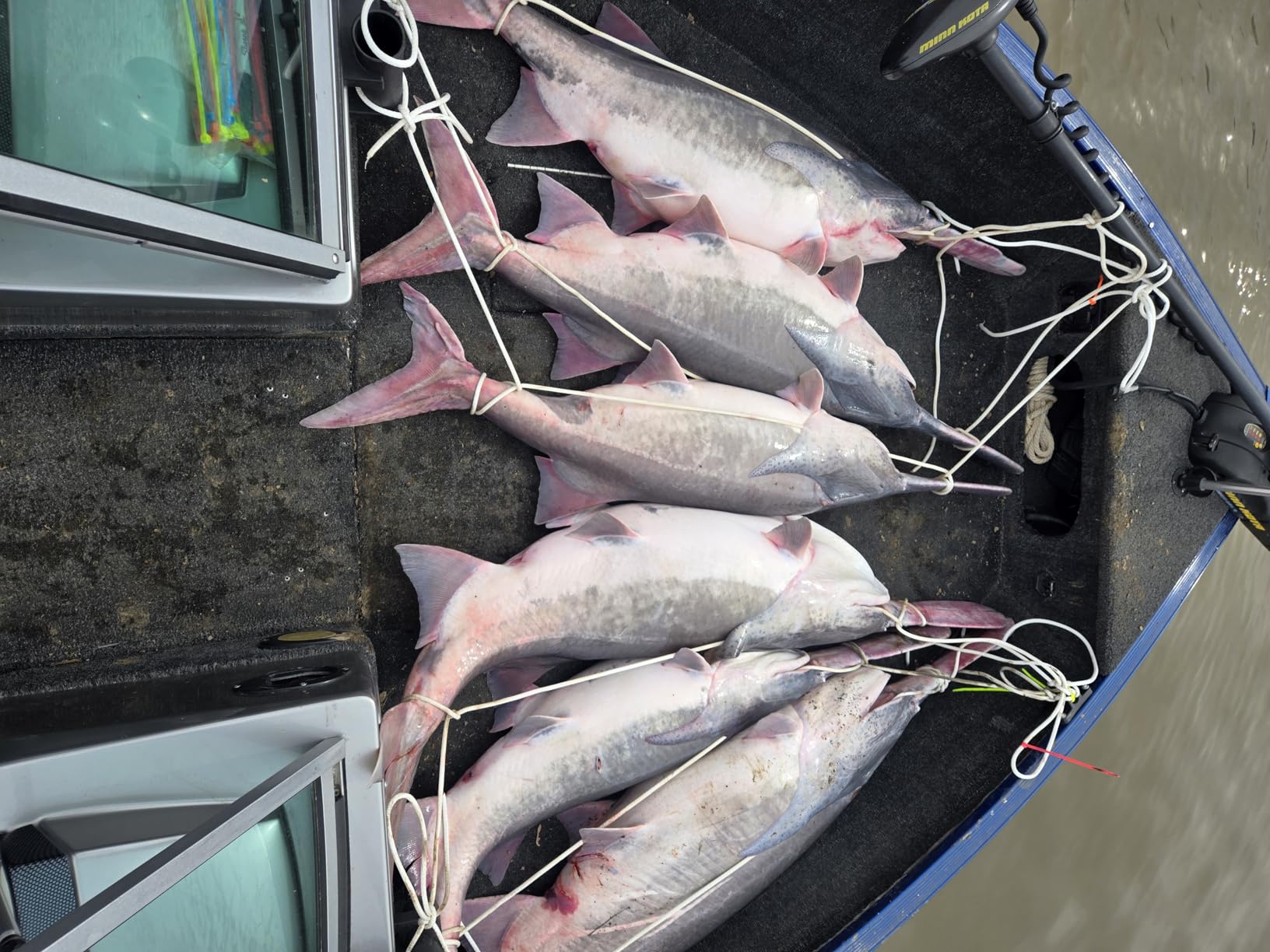 Garmin Striker Vivid 7sv, 7-inch Color Fishfinder with Traditional, ClearVu and SideVu Scanning Sonar (010-02553-00) customer photo 2