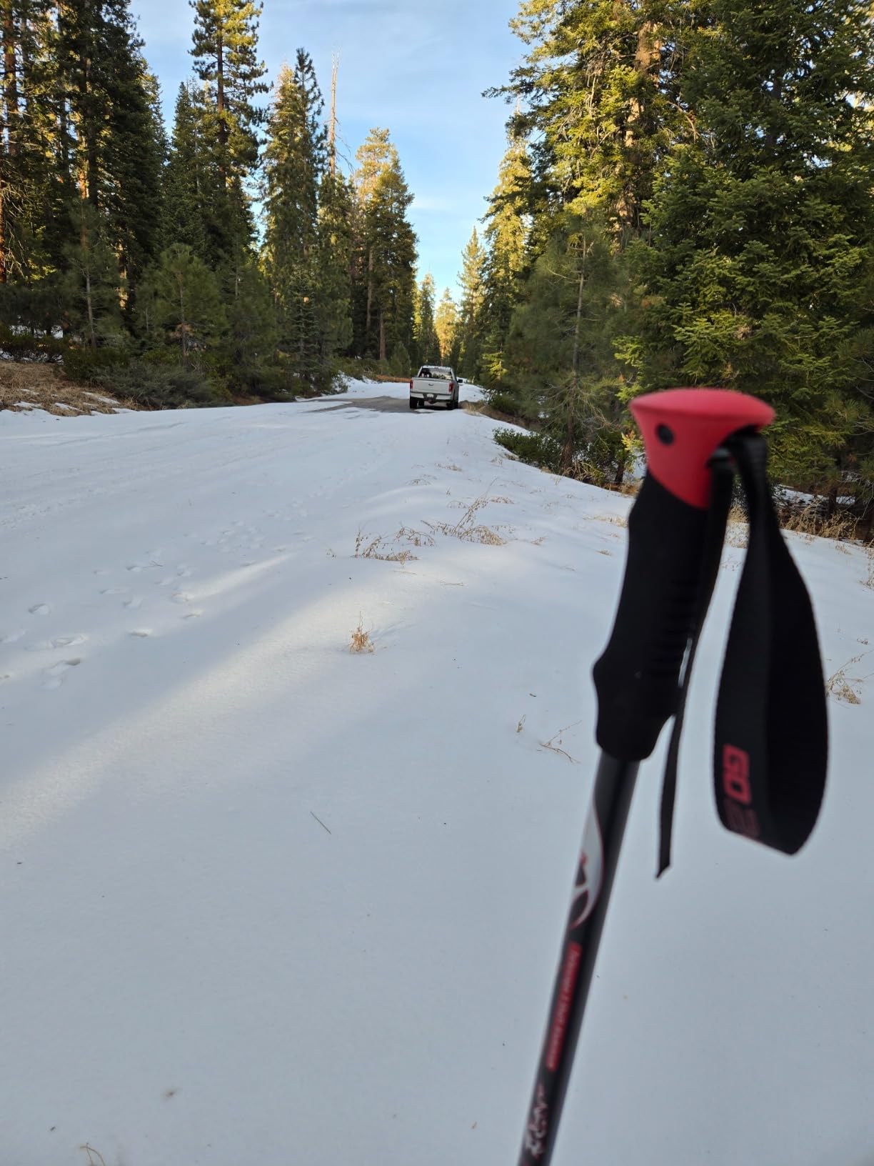 G2 21/25/30/36 Inches Light Weight Snowshoes with Trekking Poles, Tote Bag, Special EVA Padded Ratchet Binding, Heel Lift, Toe Box (6 Colors Available) customer photo 1