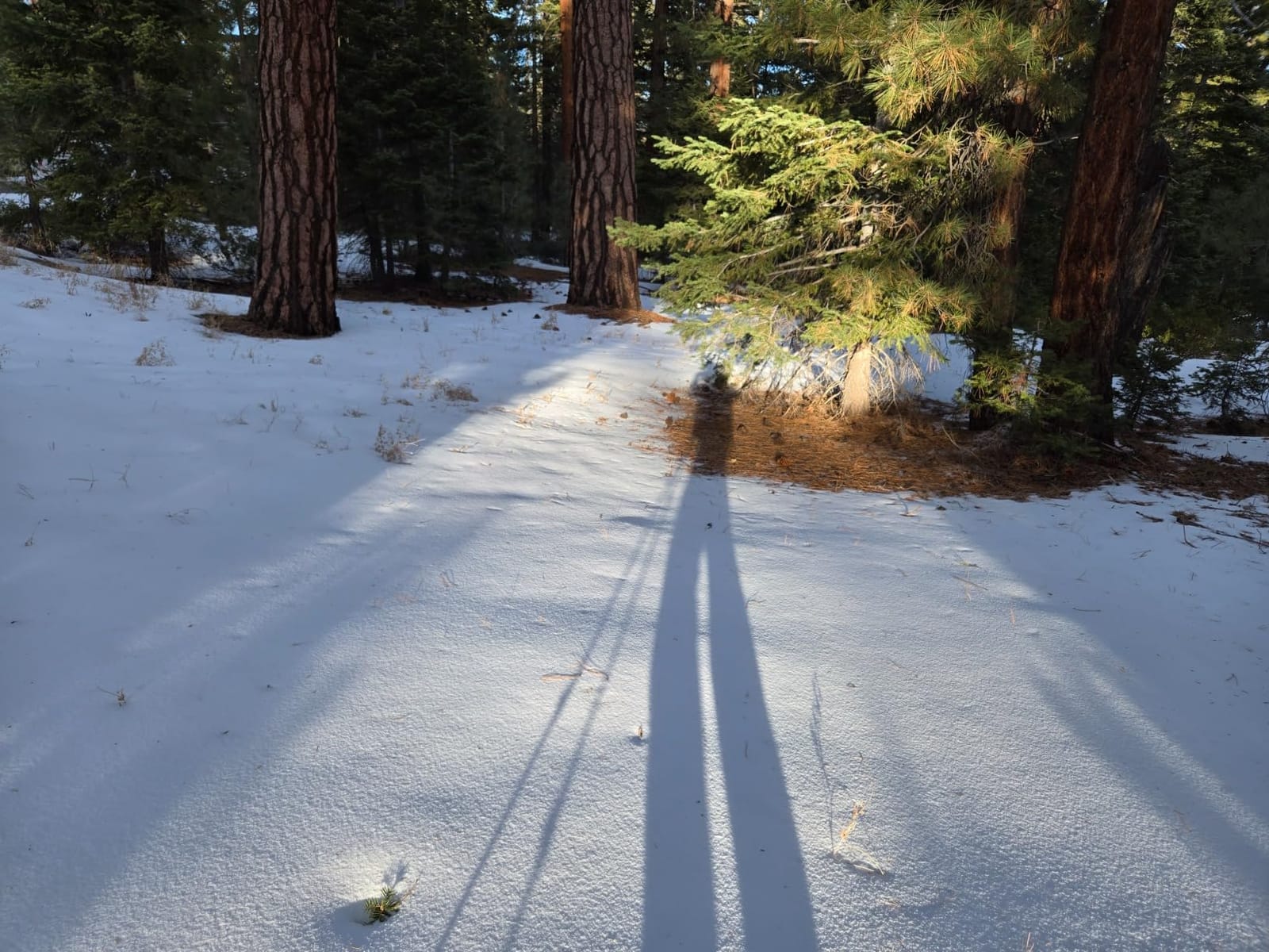 G2 21/25/30/36 Inches Light Weight Snowshoes with Trekking Poles, Tote Bag, Special EVA Padded Ratchet Binding, Heel Lift, Toe Box (6 Colors Available) customer photo 2