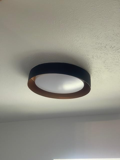 Bargeni Flush Mount Ceiling Light, Matte Black with Gold Interior, 12.5
