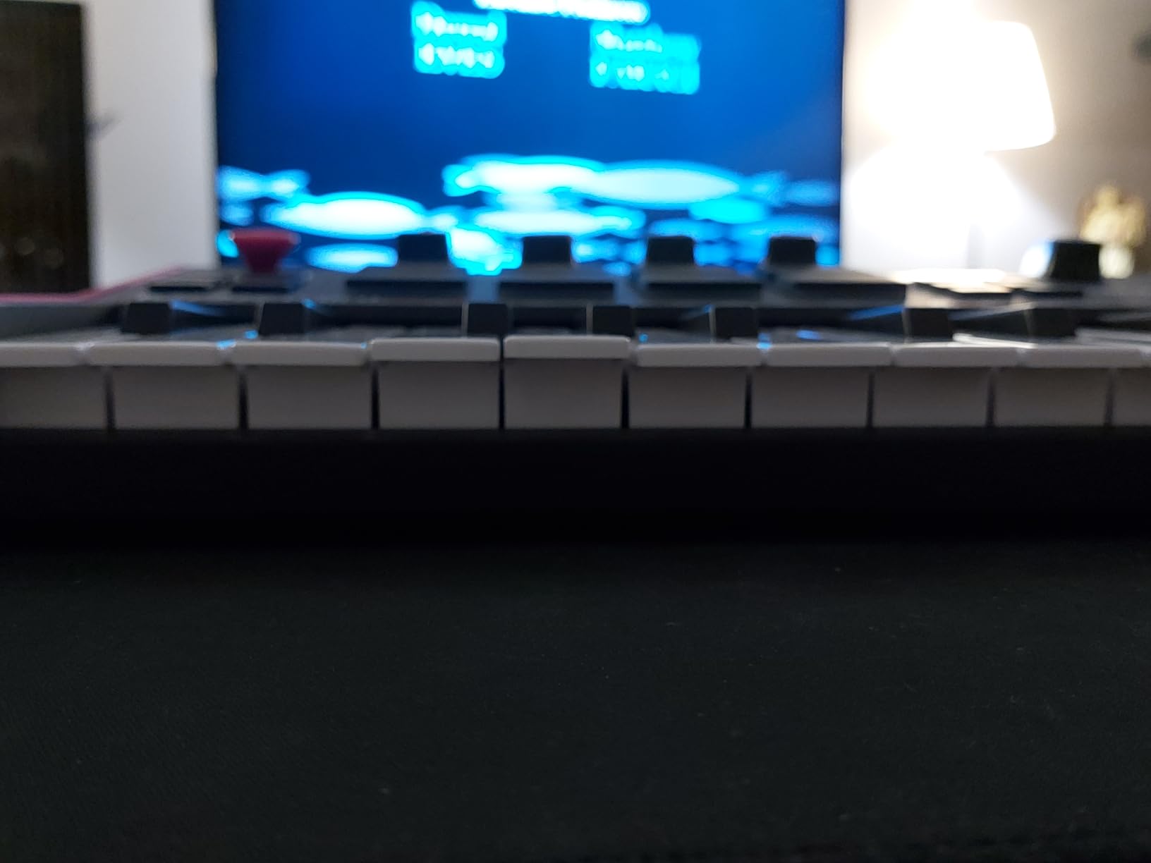 Akai Professional MPK Mini Play MK3 - MIDI Keyboard Controller with Built-in Speaker and Sounds Plus Dynamic Keybed, MPC Pads, Software Suite and Native Instruments Sound Package customer photo 2