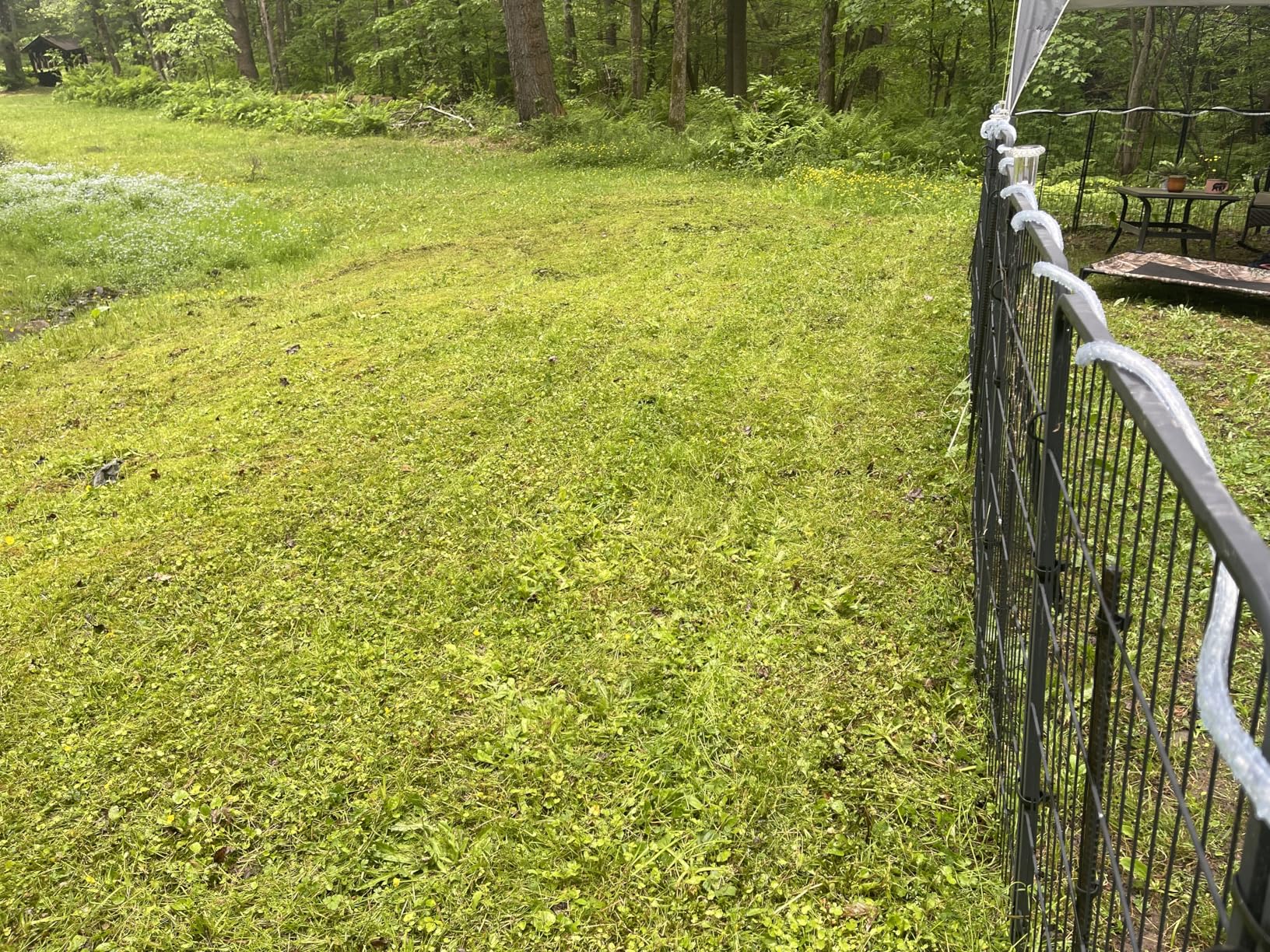 LawnMaster CLM2413A Cordless 13-Inch Lawn Mower 24V Max with 2X4.0Ah Battery and a Charger customer photo 2