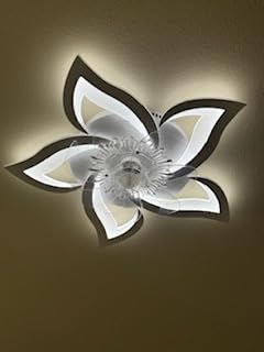 Bevenus Low Profile Ceiling Fan with Lights,110v Modern Dimmable Flower Shape, Remote Control/app Control,Timing 6 Gear Speeds Fan Ceiling Lamp. customer photo 1