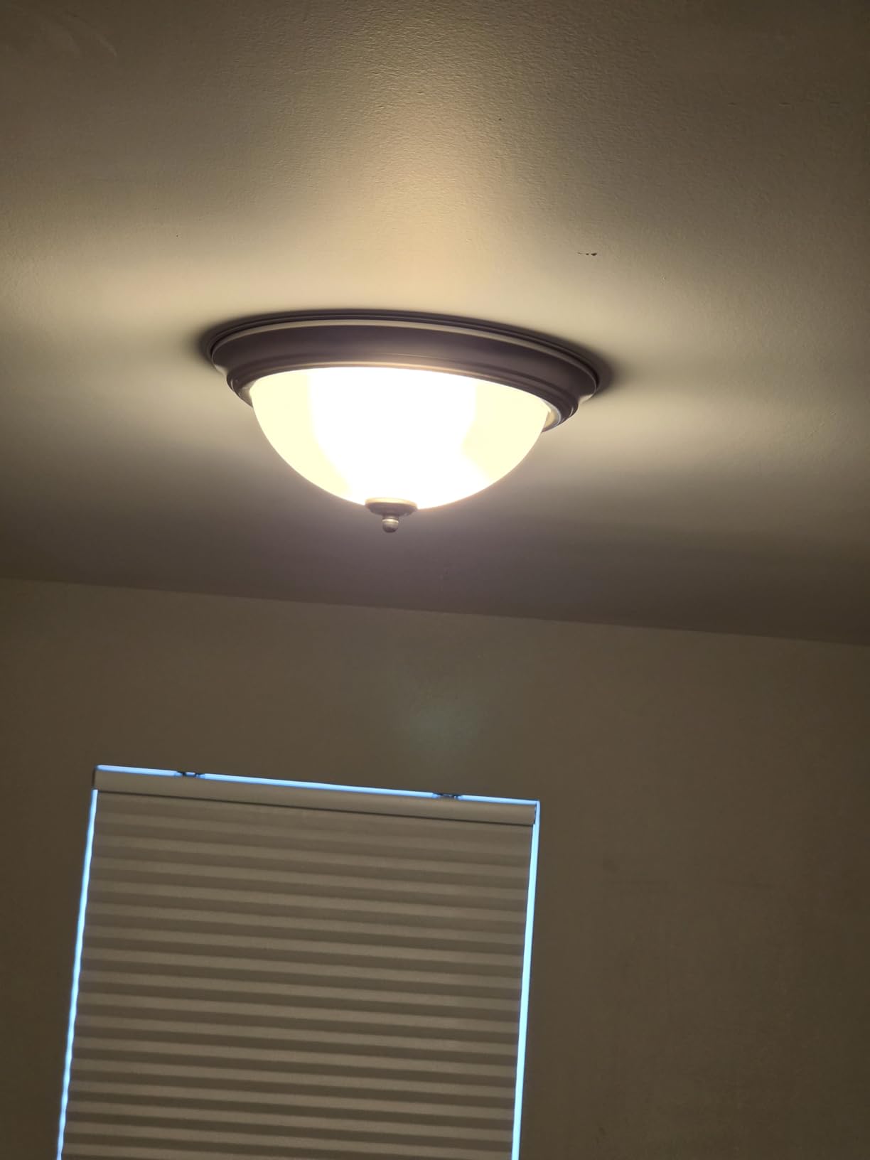 Bevenus Low Profile Ceiling Fan with Lights,110v Modern Dimmable Flower Shape, Remote Control/app Control,Timing 6 Gear Speeds Fan Ceiling Lamp. customer photo 2