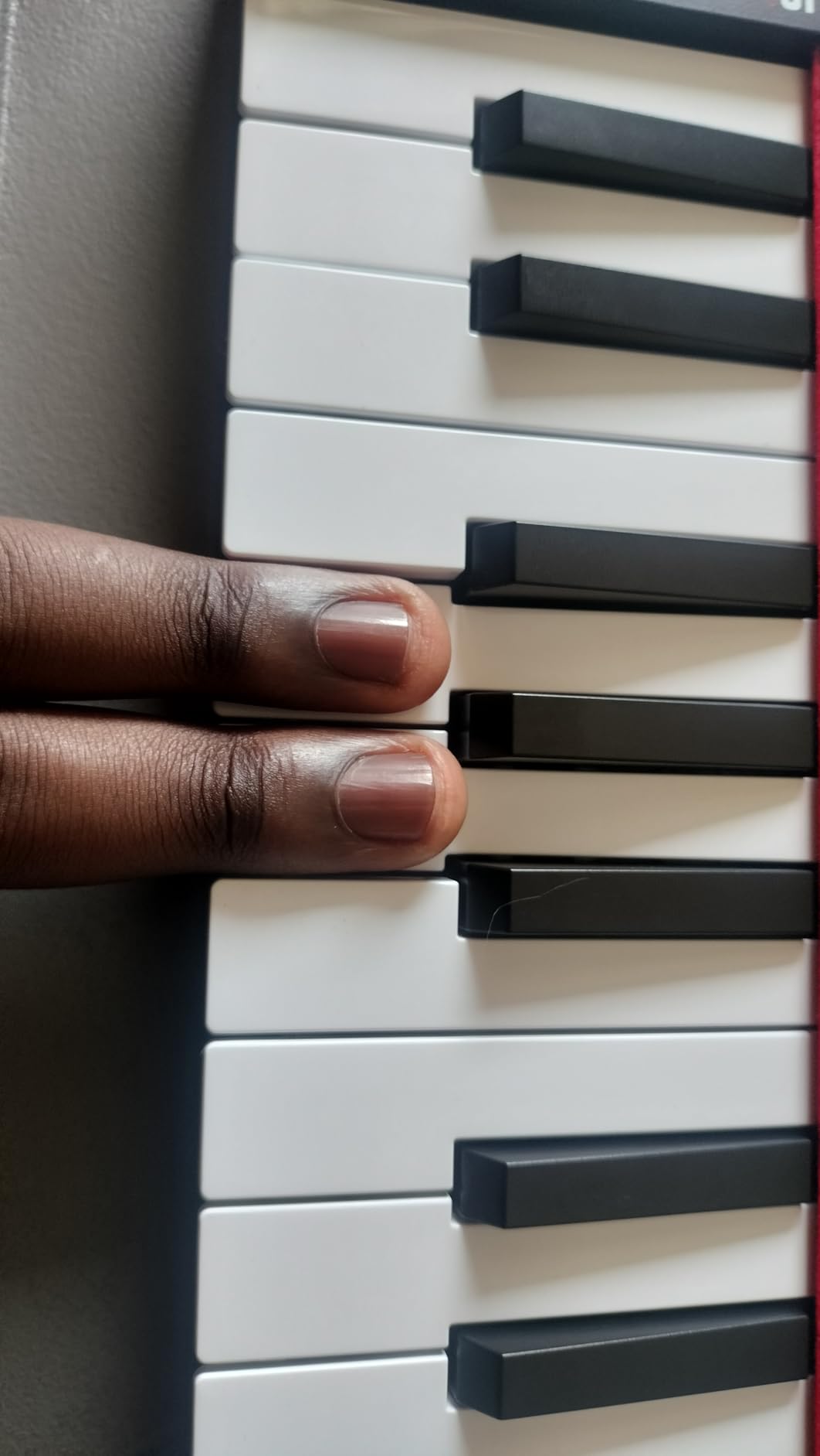 Akai Professional LPK25 - USB MIDI Keyboard Controller with 25 Responsive Synth Keys for Mac and PC, Arpeggiator and Music Production Software customer photo 2